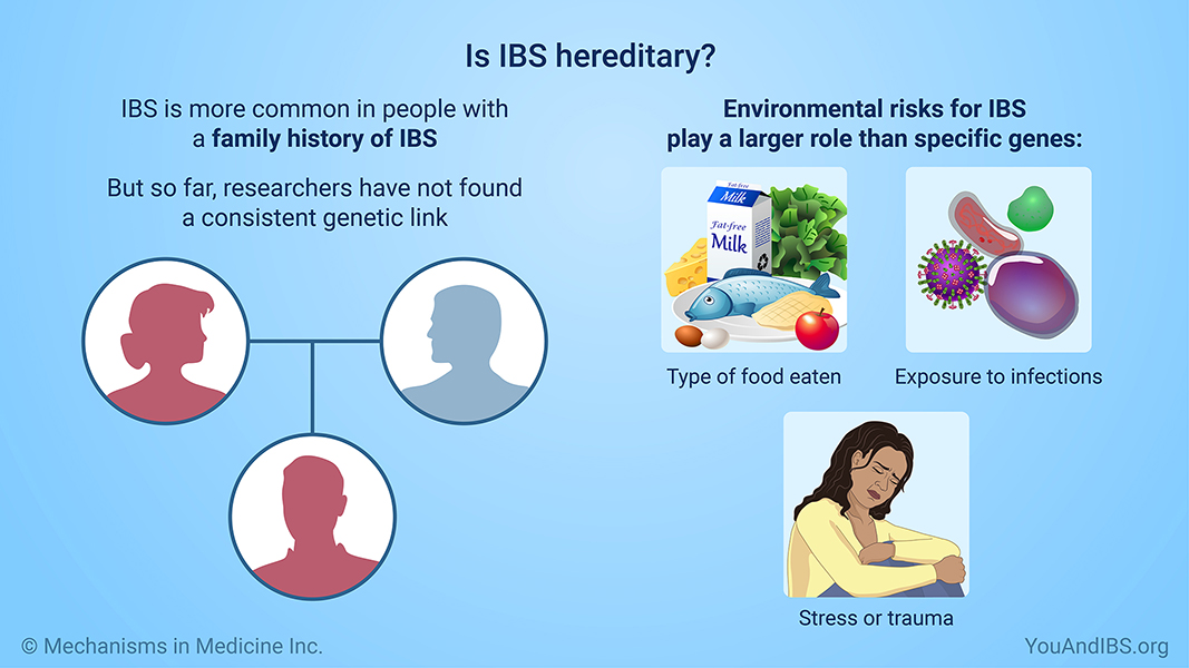 Is IBS hereditary?