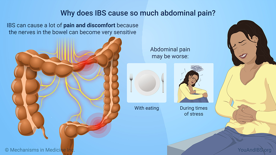 Why does IBS cause so much abdominal pain?
